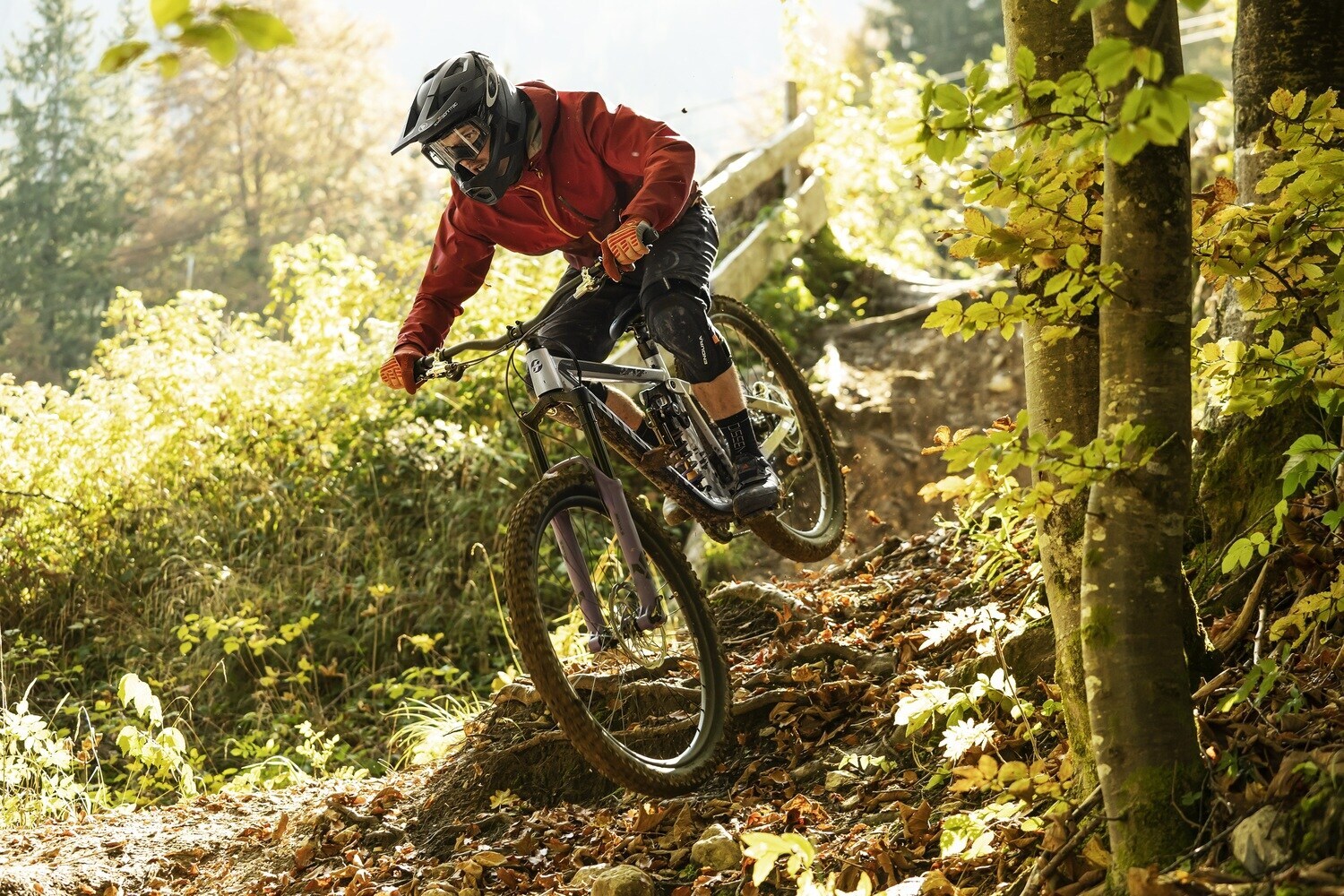 Ein Mountainbiker fährt durch einen Wald