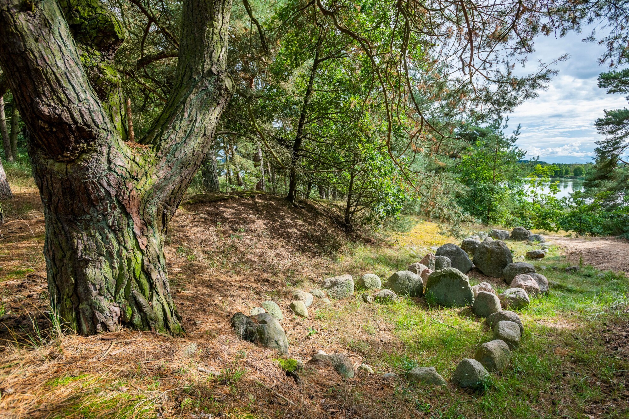 Wikingergräber im Naturpark Flusslandschaft Peenetal
