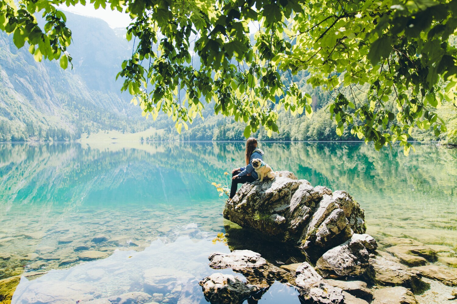 Eine Frau sitzt mit einem Hund auf einem Felsen an einem klaren Bergsee
