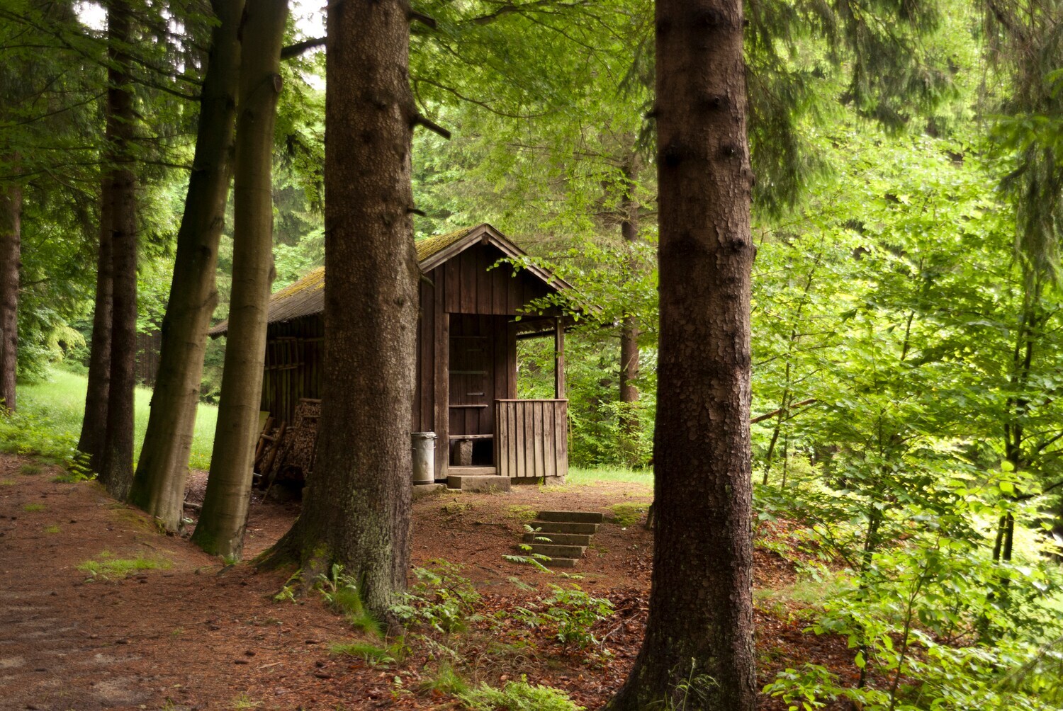 Eine Holzhütte im Wald