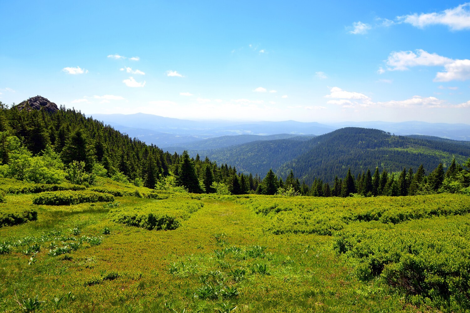 Blick von einem Berg über eine hügelige Berglandschaft