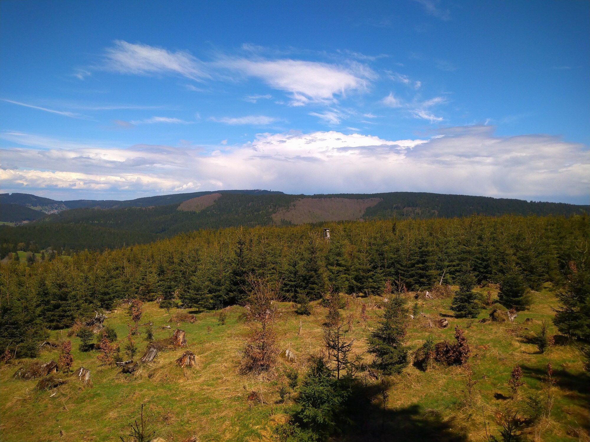 Blick über den Thüringer Wald