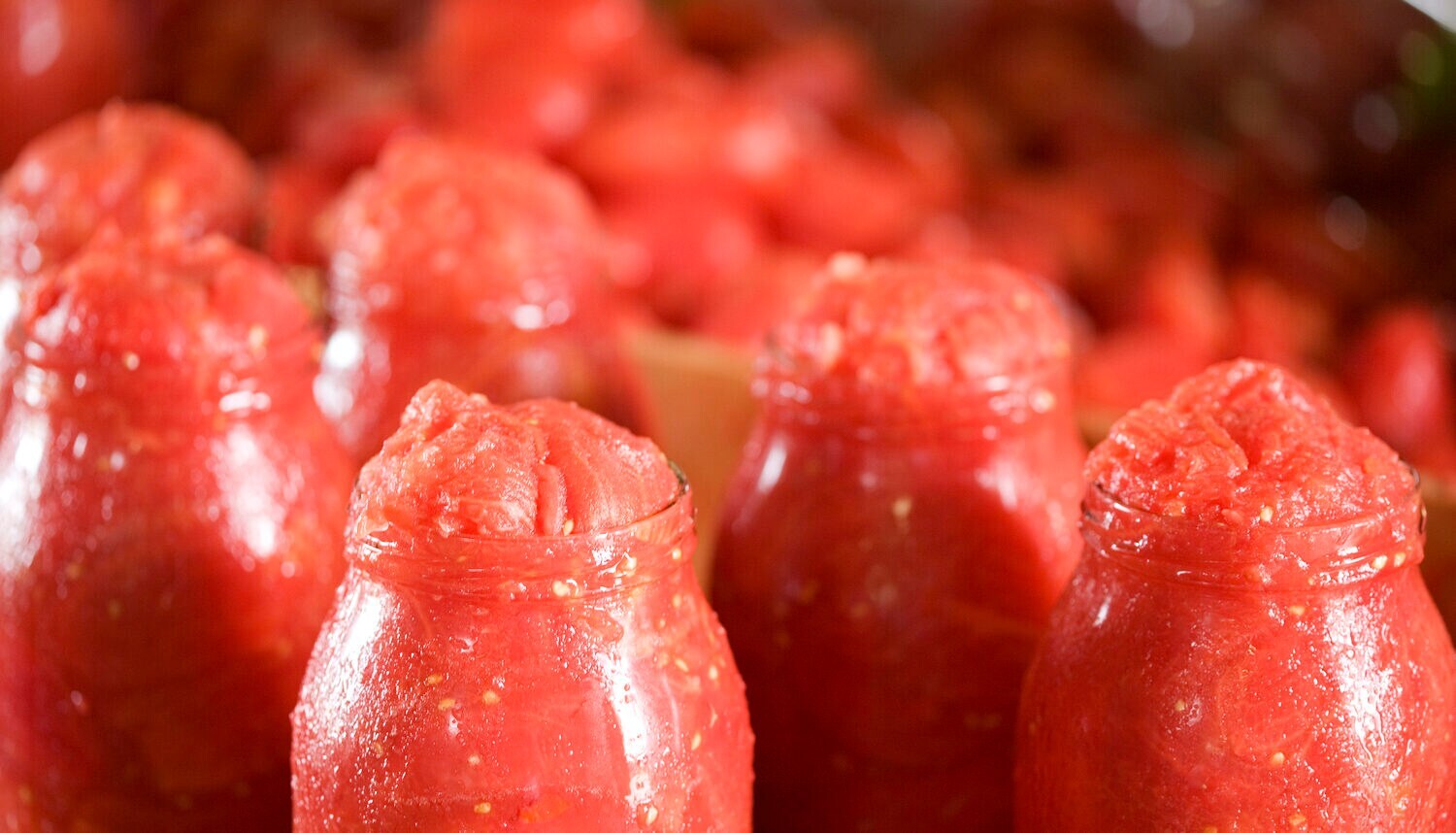 Gläser mit eingemachten Tomaten Gläser mit eingemachten Tomaten