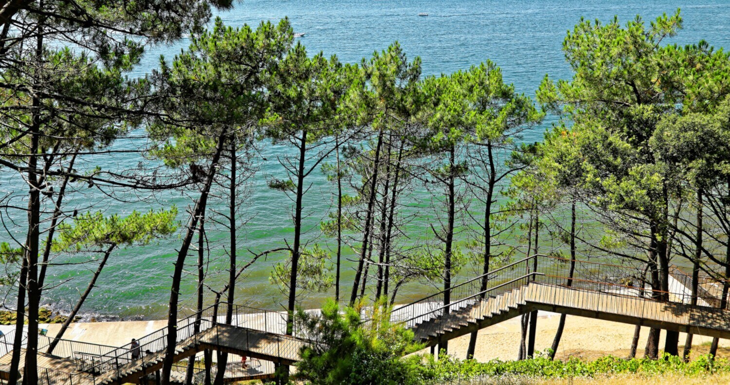 Blick von oben auf einen Strandabschnitt mit Bäumen und Holzsteg