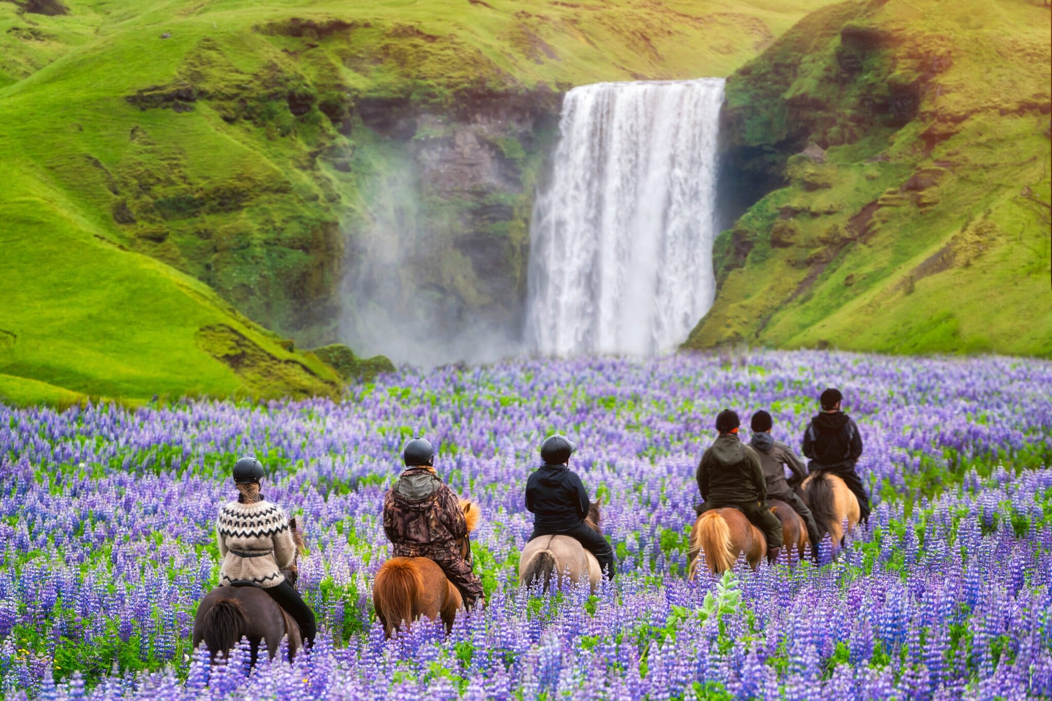 Touristen reiten im Sommer an einem Wasserfall in Island Touristen reiten im Sommer an einem Wasserfall in Island