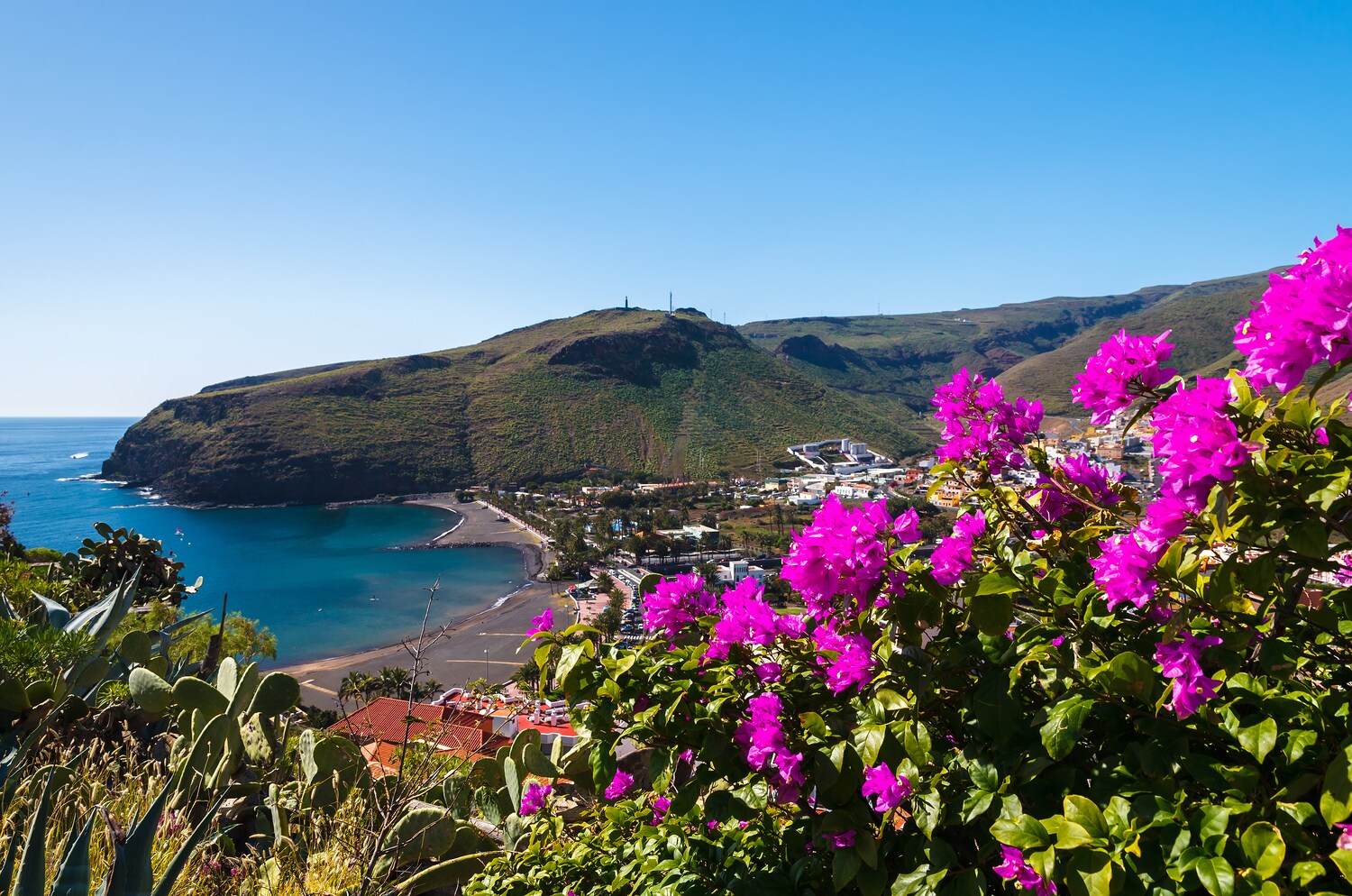 Blick auf die Bucht von Playa de Santiago mit pinken Blumen im Vordergrund Blick auf die Bucht von Playa de Santiago mit pinken Blumen im Vordergrund