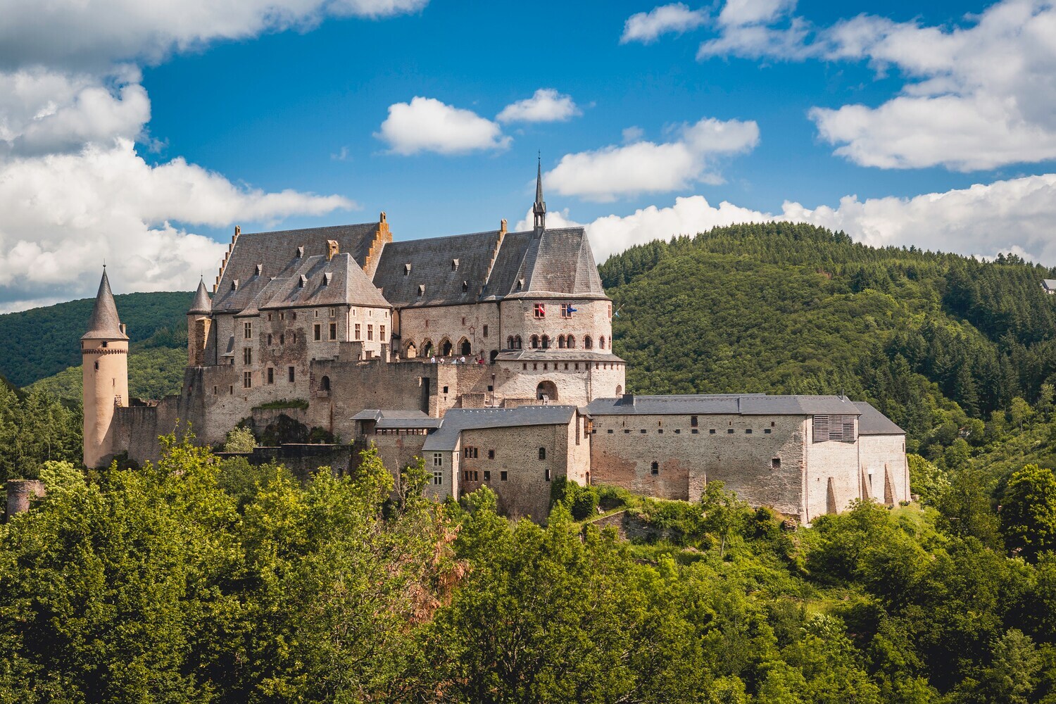 Mittelalterliche Burg auf einem Hügel, umgeben von Bäumen.