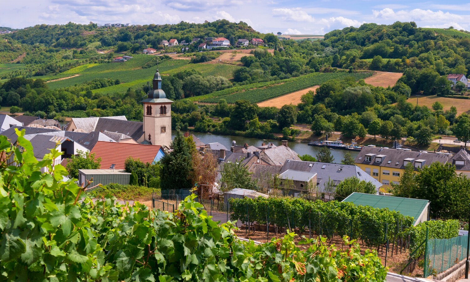 Blick auf eine historische Stadt umgeben von Weinbergen. Blick auf eine historische Stadt umgeben von Weinbergen.