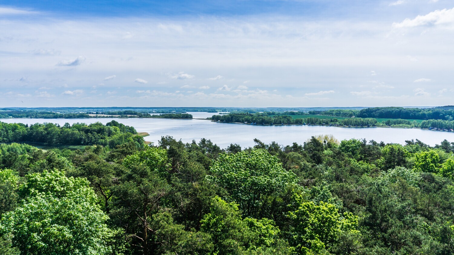 Blick von oben über ein Naturgebiet mit großem Seenanteil.