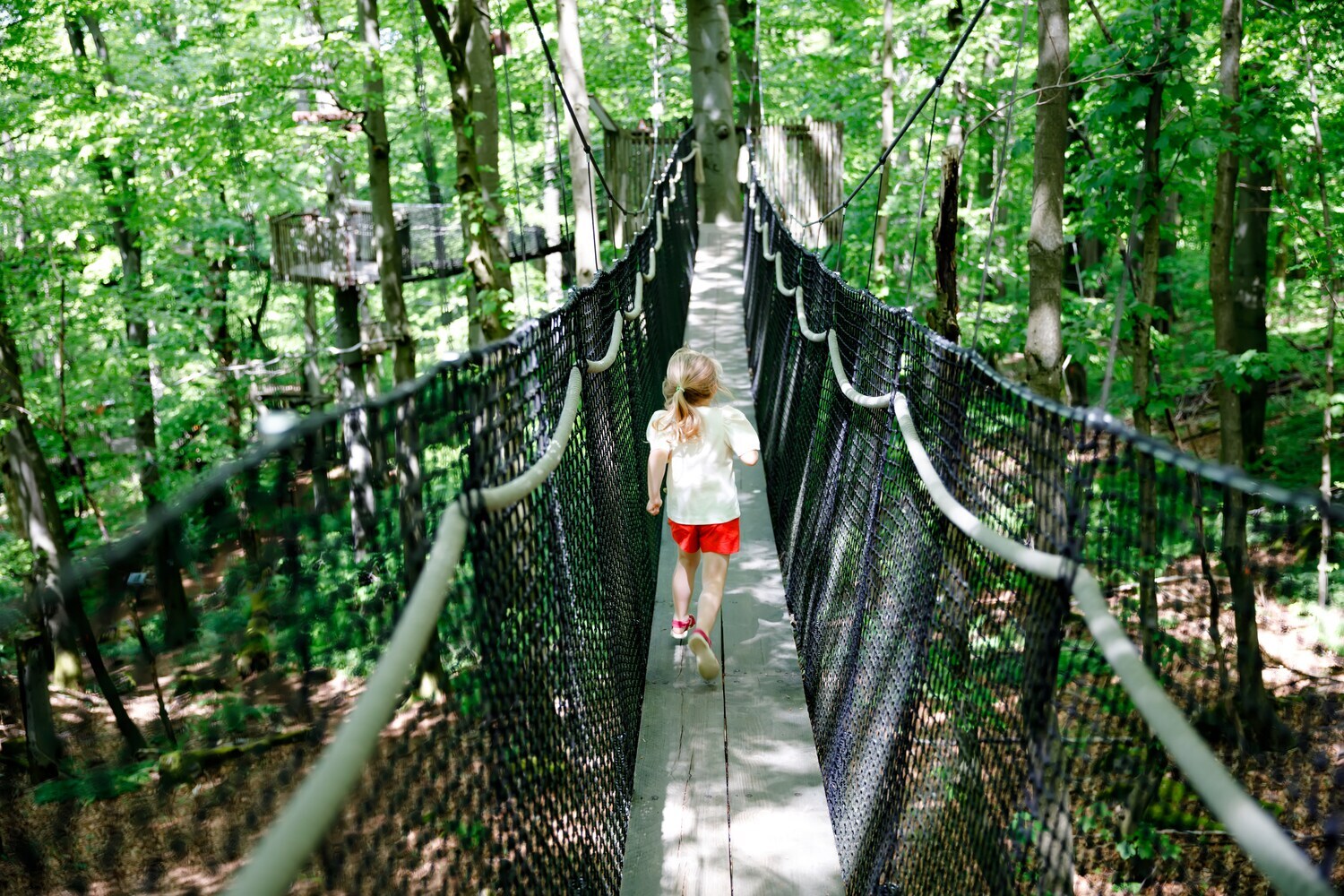 Ein kleines Mädchen auf einem Baumpfad