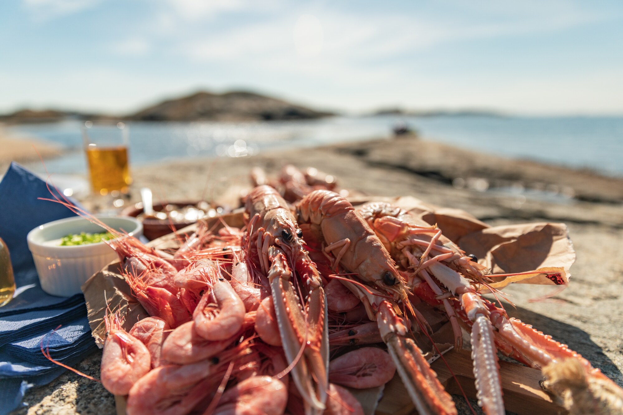 Scampi und Garnelen am Meer