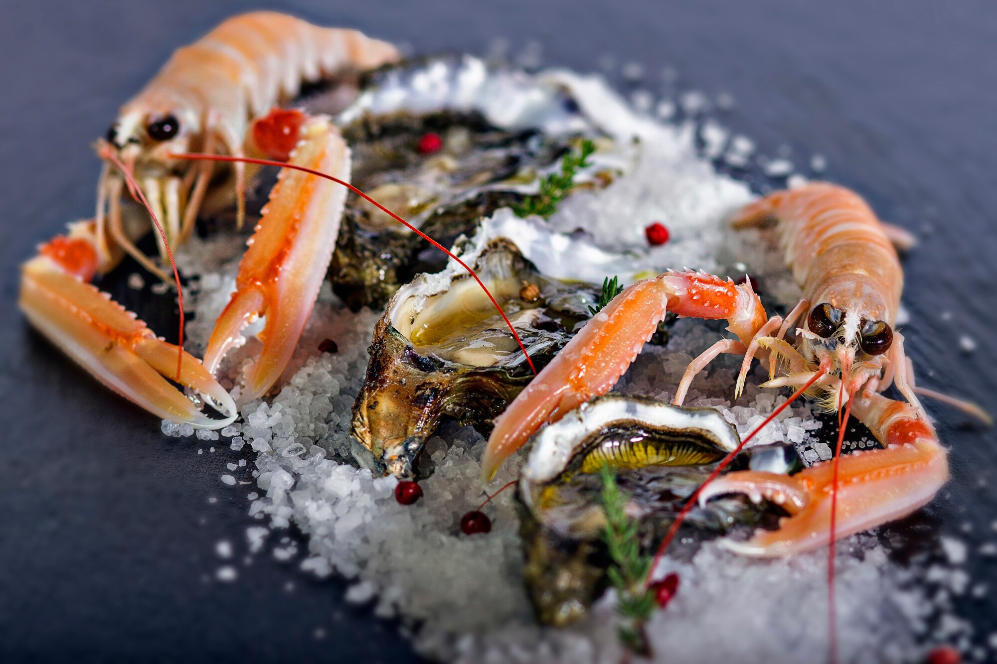 Scampi und Austern auf Eis