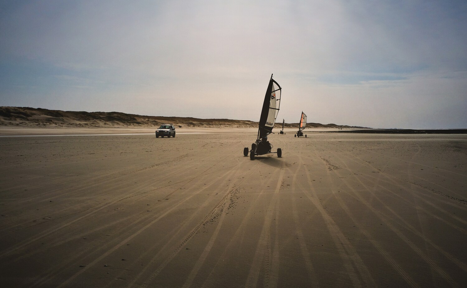 Mehrere Strandsegler auf einem breiten Sandstrand.