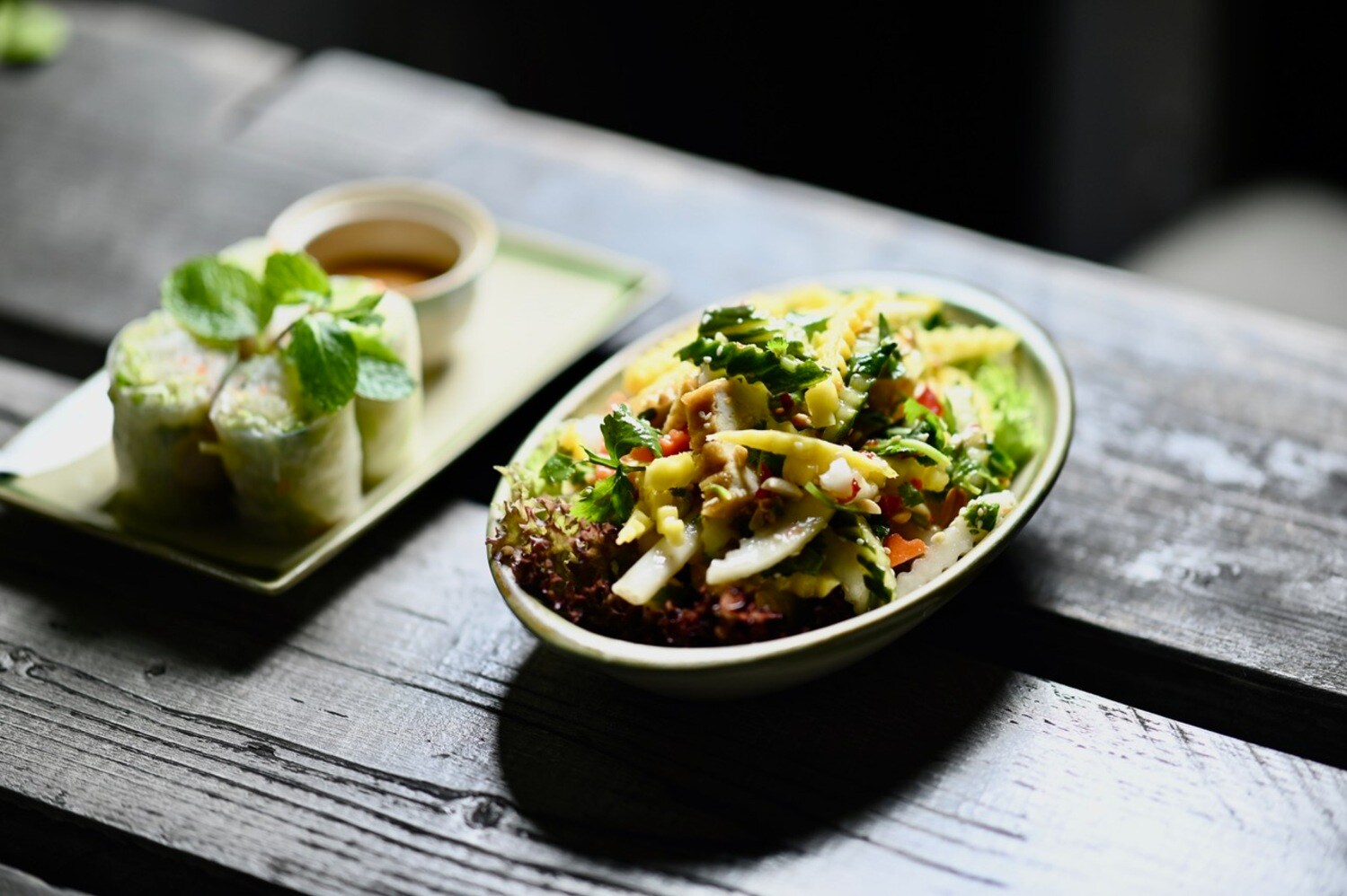 Asiatisches Gericht und Frühlingsrollen auf zwei Tellern. Asiatisches Gericht und Frühlingsrollen auf zwei Tellern.