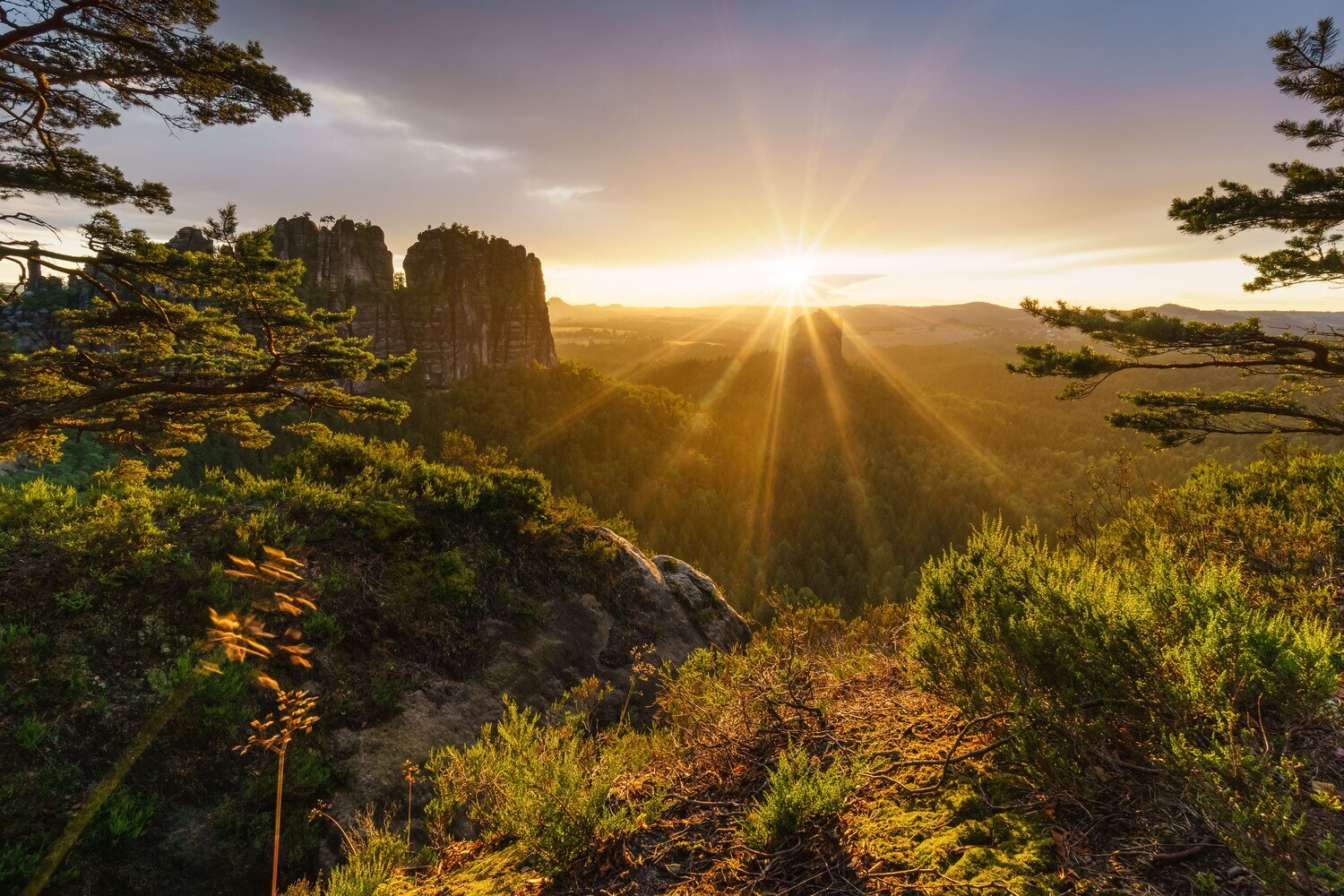Blick auf Schrammsteine und Falkenstein in der Sächsischen Schweiz