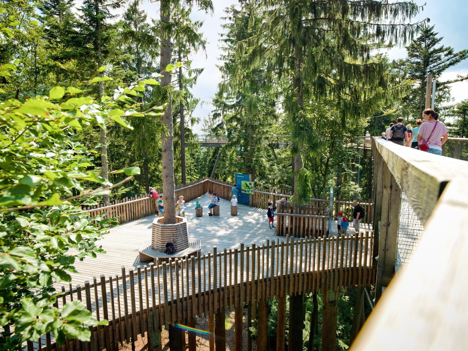 Zwischen Bäumen führt ein hölzerner Erlebnispfad entlang Zwischen Bäumen führt ein hölzerner Erlebnispfad entlang