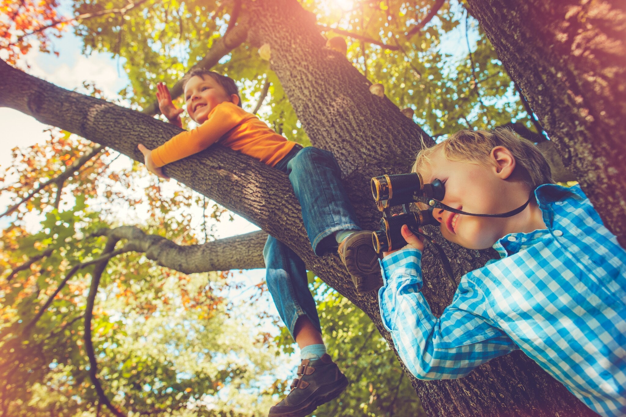 Zwei lachende kleine Jungs sitzen in einem Baum und einer von ihnen beobachtet mit einem Fernglas die Umgebung Zwei lachende kleine Jungs sitzen in einem Baum und einer von ihnen beobachtet mit einem Fernglas die Umgebung