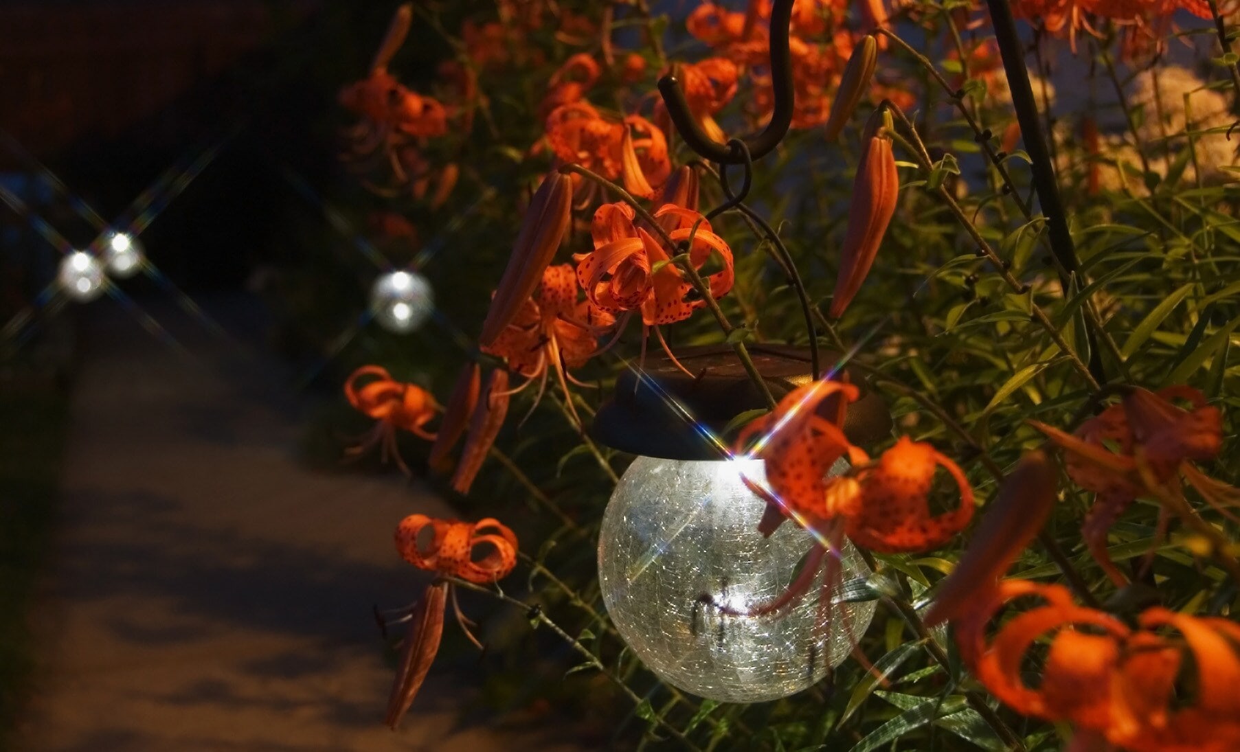Nahaufnahme einer LED-Leuchte in einem Blumenbeet mit orangefarbenen Blüten Nahaufnahme einer LED-Leuchte in einem Blumenbeet mit orangefarbenen Blüten