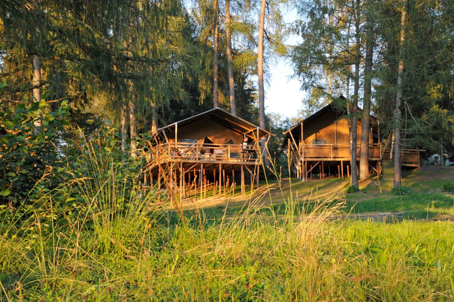 Holzhäuser auf Stehlen bei Abendsonne im Wald