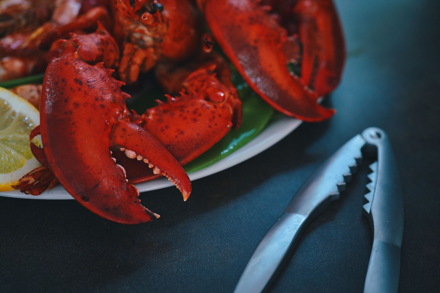 Hummer mit Zange