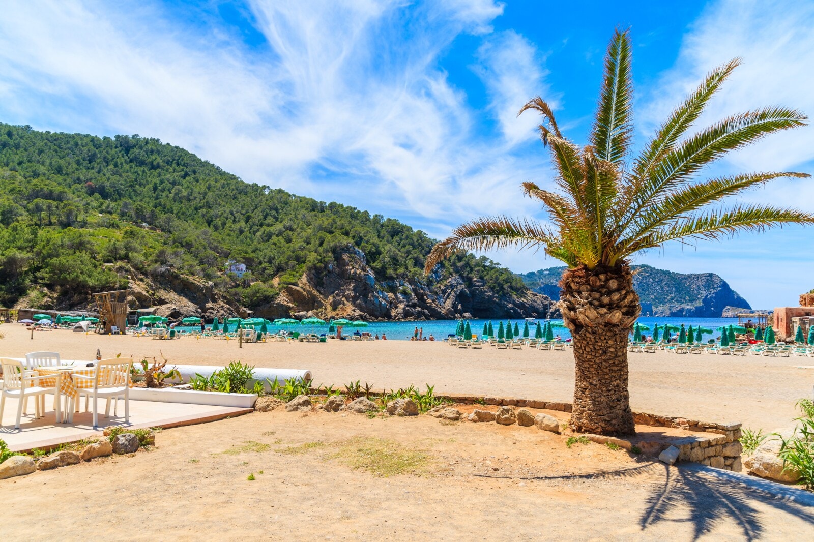Ein Strand mit Palme und pinienbewachsenen Hügeln Ein Strand mit Palme und pinienbewachsenen Hügeln