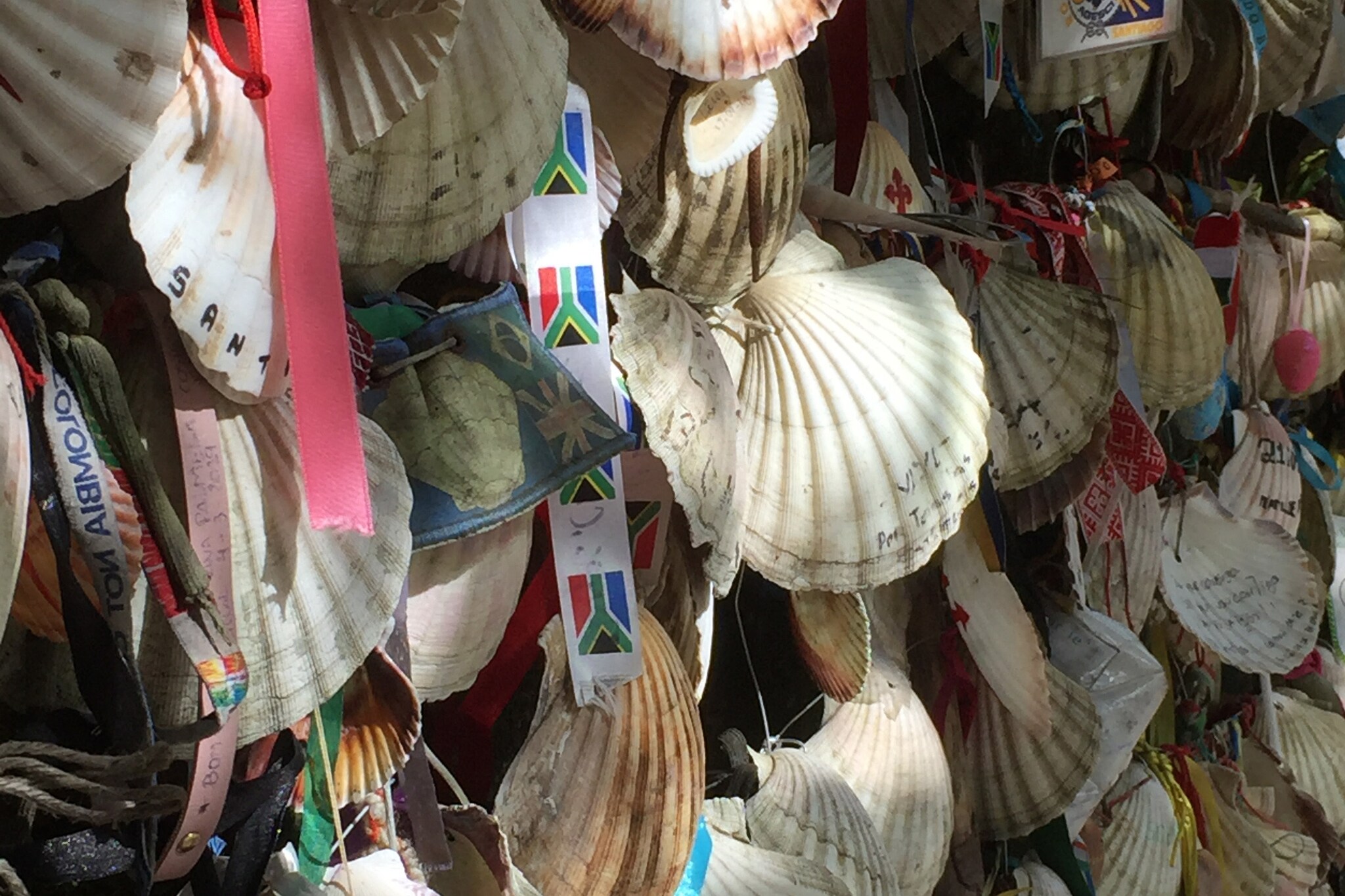 Mehrere Muscheln mit Bändern