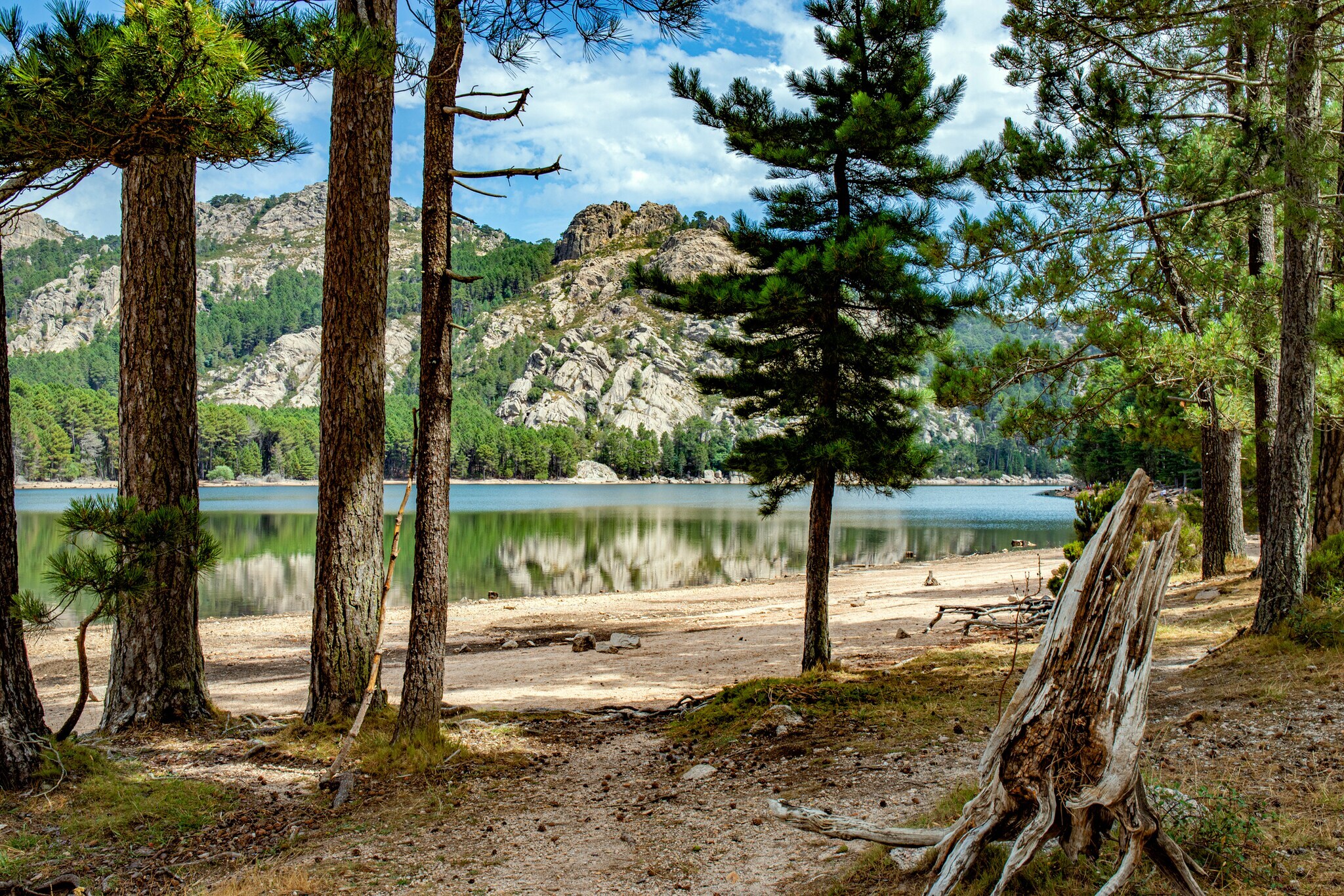Ein Gewässer zwischen Nadelbäumen und Bergen