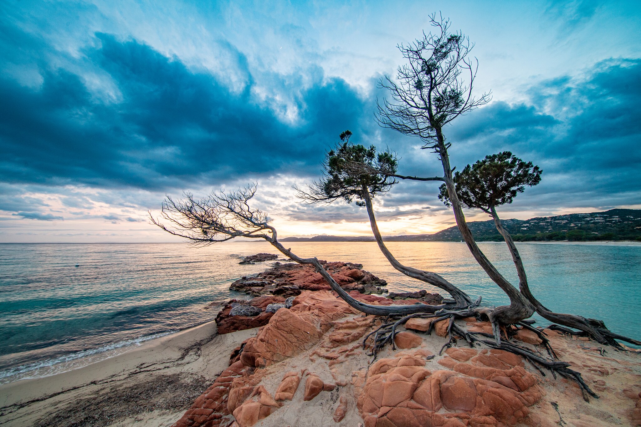 Eine Meeresbucht mit Felsen und knorrigen Bäumen bei Sonnenuntergang Eine Meeresbucht mit Felsen und knorrigen Bäumen bei Sonnenuntergang