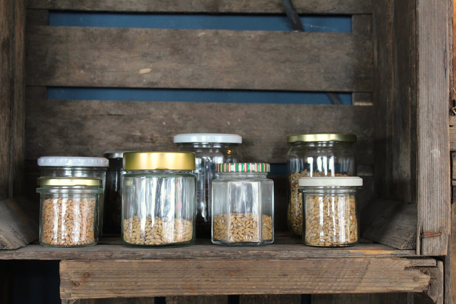Unterschiedliche Getreidesorten, abgefüllt in Gläsern in einem Holzregal Unterschiedliche Getreidesorten, abgefüllt in Gläsern in einem Holzregal