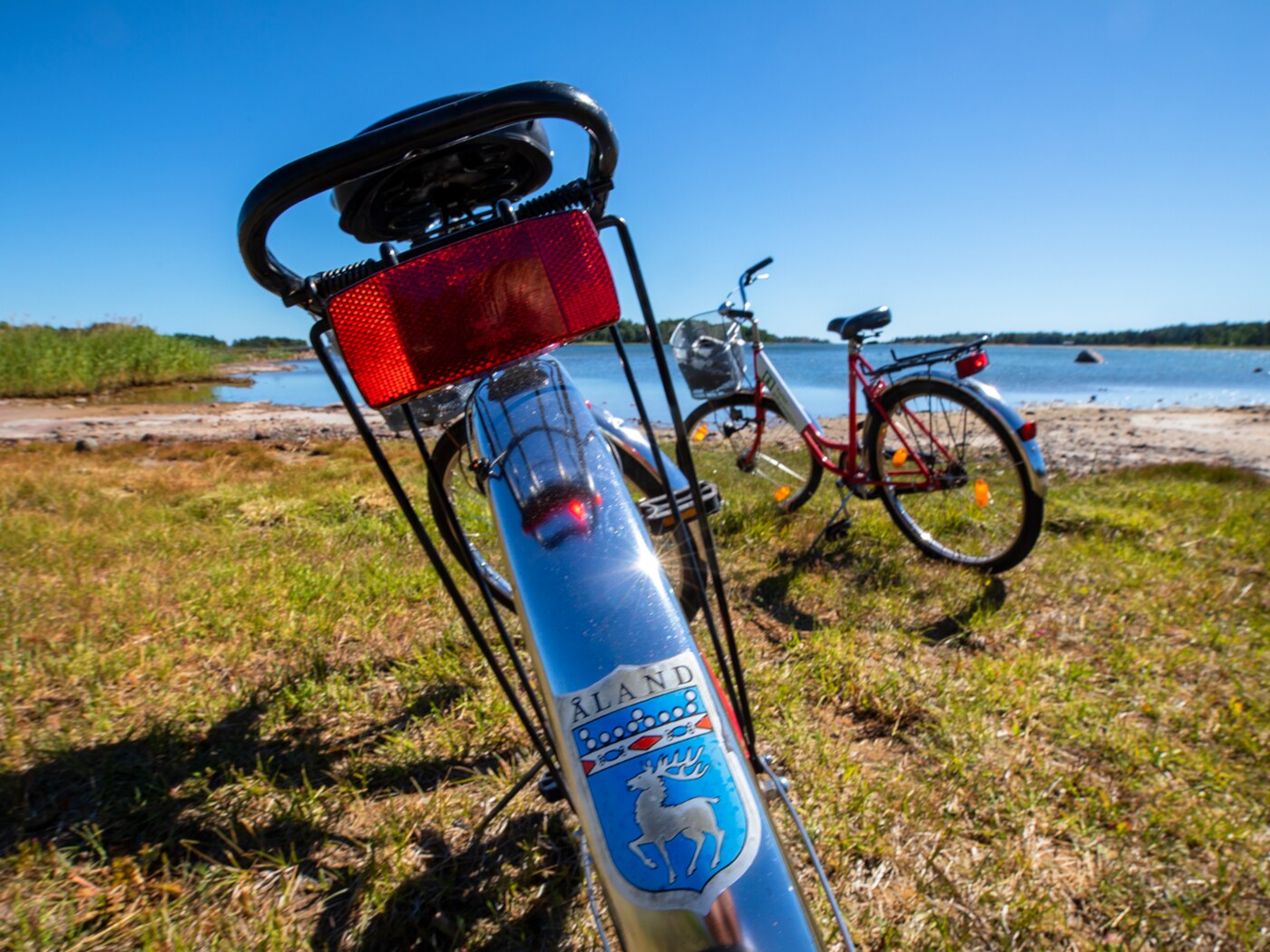 Zwei Fahrräder auf einer Wiese am See, Nahansicht eines Aufklebers auf dem Schutzblech