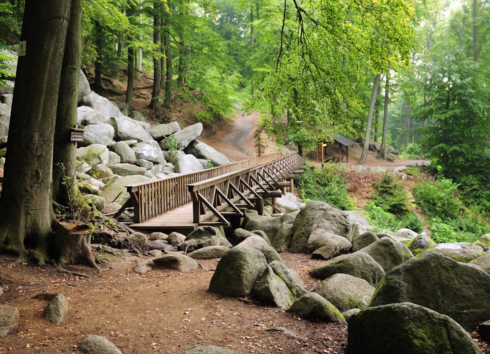 Holzsteg über Felsen im Naturpark Bergstraße-Odenwald