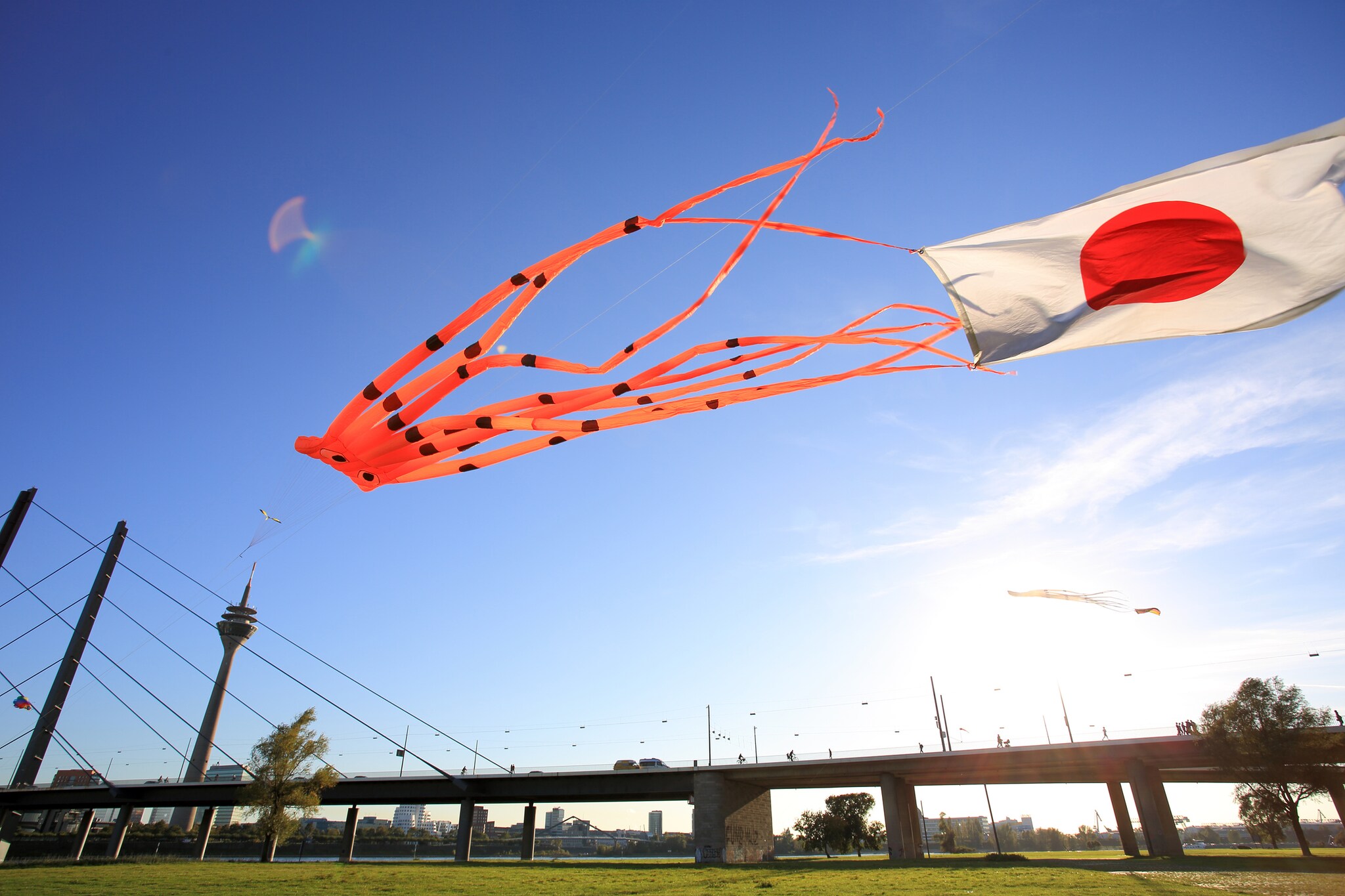 Ein Drache in Oktopusform und eine Japanflagge flattern über dem Rhein in der Luft Ein Drache in Oktopusform und eine Japanflagge flattern über dem Rhein in der Luft