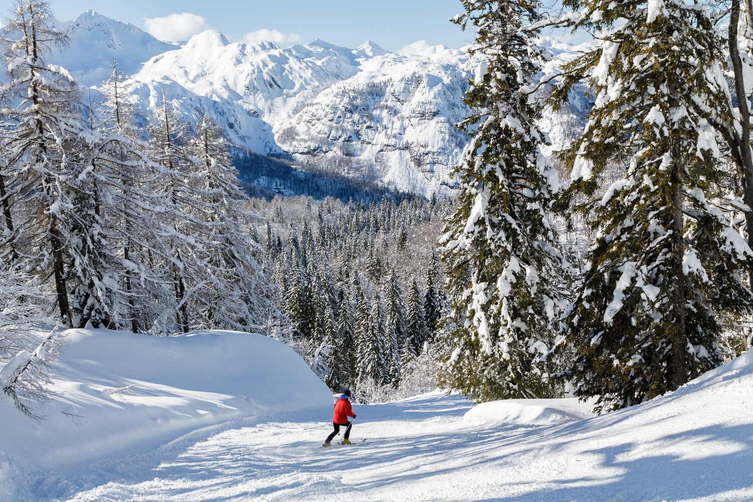 Skifahrer vor Bergkulisse Skifahrer vor Bergkulisse