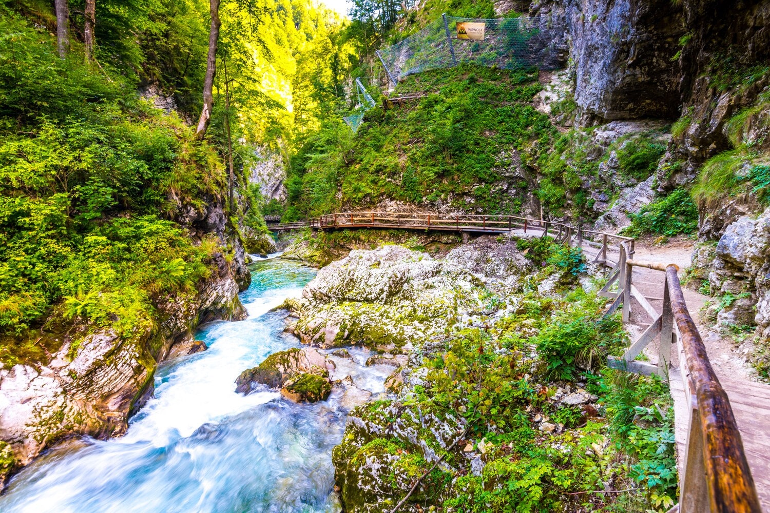 Blick auf die Vintgar Klamm Blick auf die Vintgar Klamm