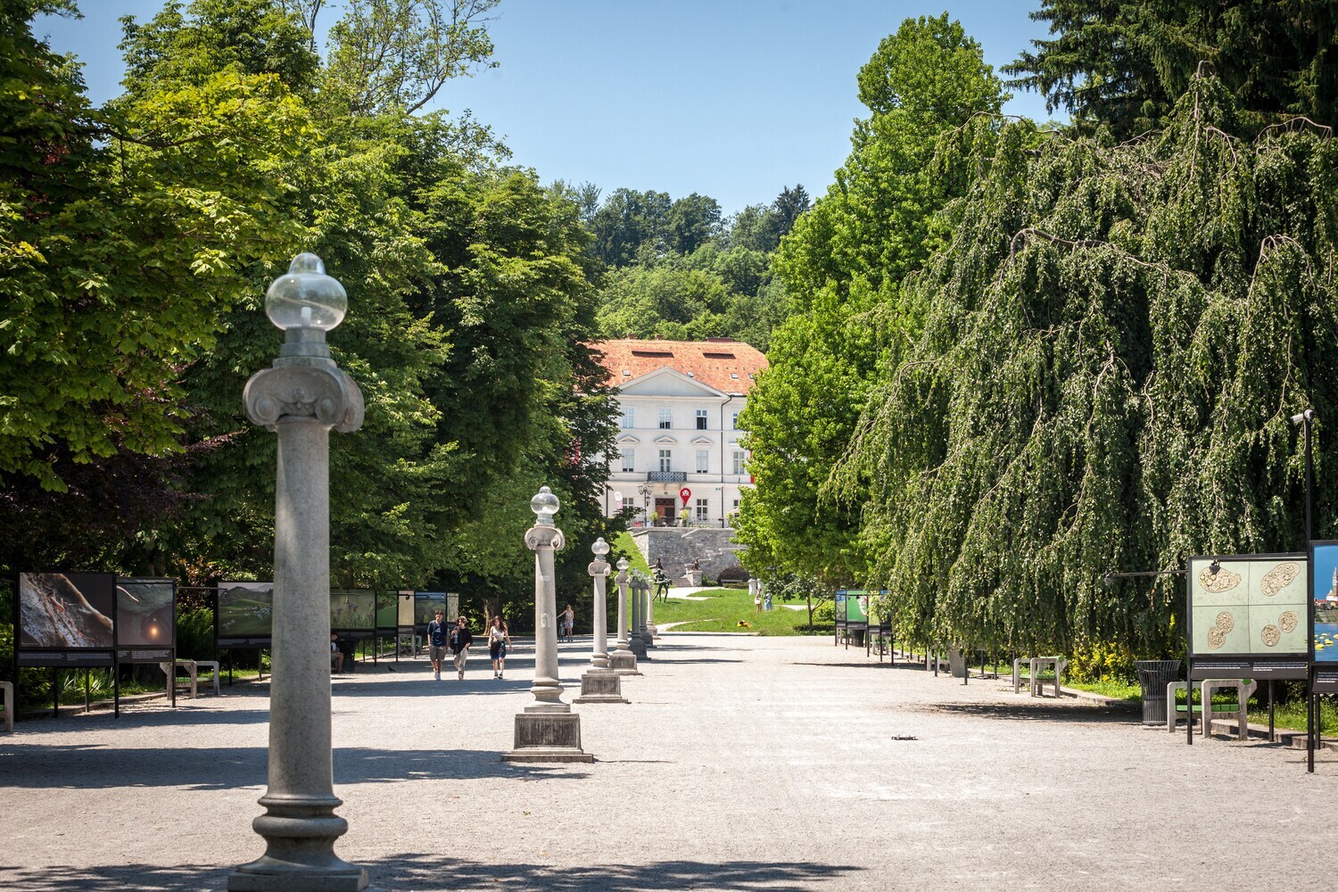 Eine Promenade mitten in der Grünanlage vom Tivoli Park