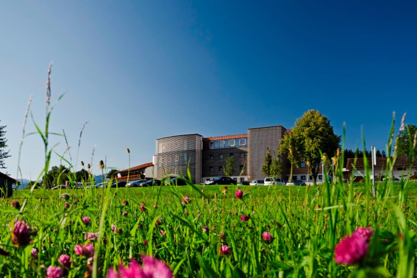 Ein modernes Gebäude mit einer blühenden Wiese im Vordergrund Ein modernes Gebäude mit einer blühenden Wiese im Vordergrund