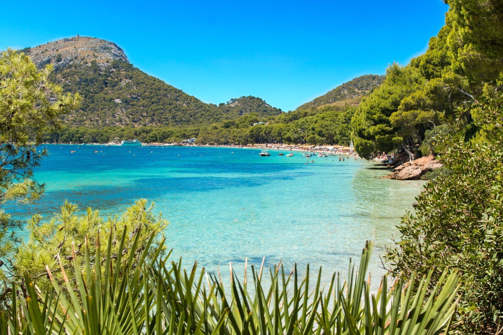 Playa de Formentor, türkisfarbenes Wasser, blauer Himmel, Berge im Hintergrund Playa de Formentor, türkisfarbenes Wasser, blauer Himmel, Berge im Hintergrund