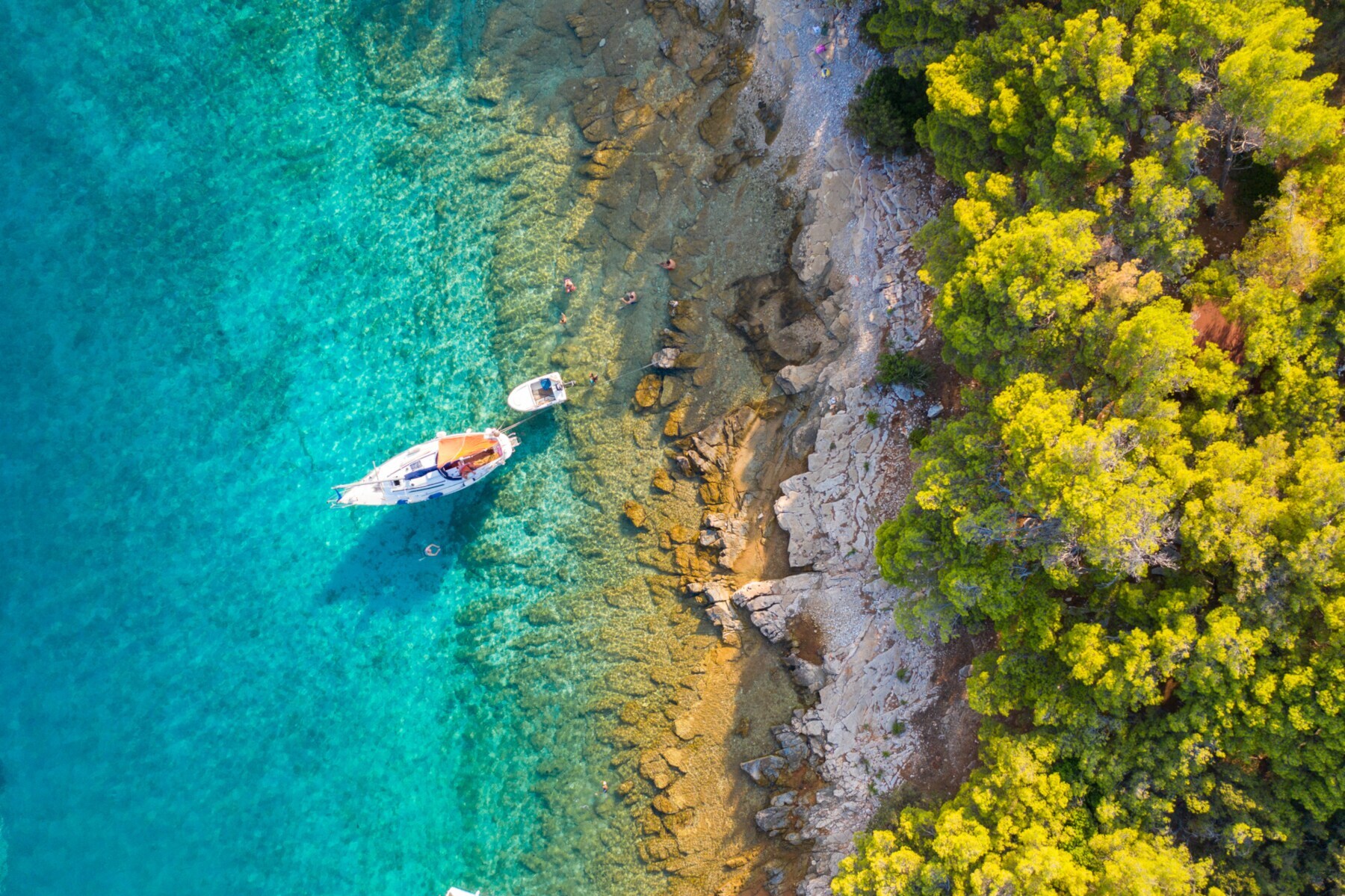 Ein kleines Segelboot liegt im türkisfarbenen Wasser neben dem Ufer, das mit einem üppigen Pinienwald bedeckt ist