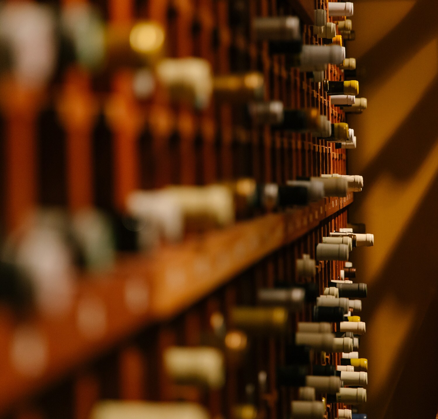 Nahaufnahme eines Weinregals mit unterschiedlichen Flaschen