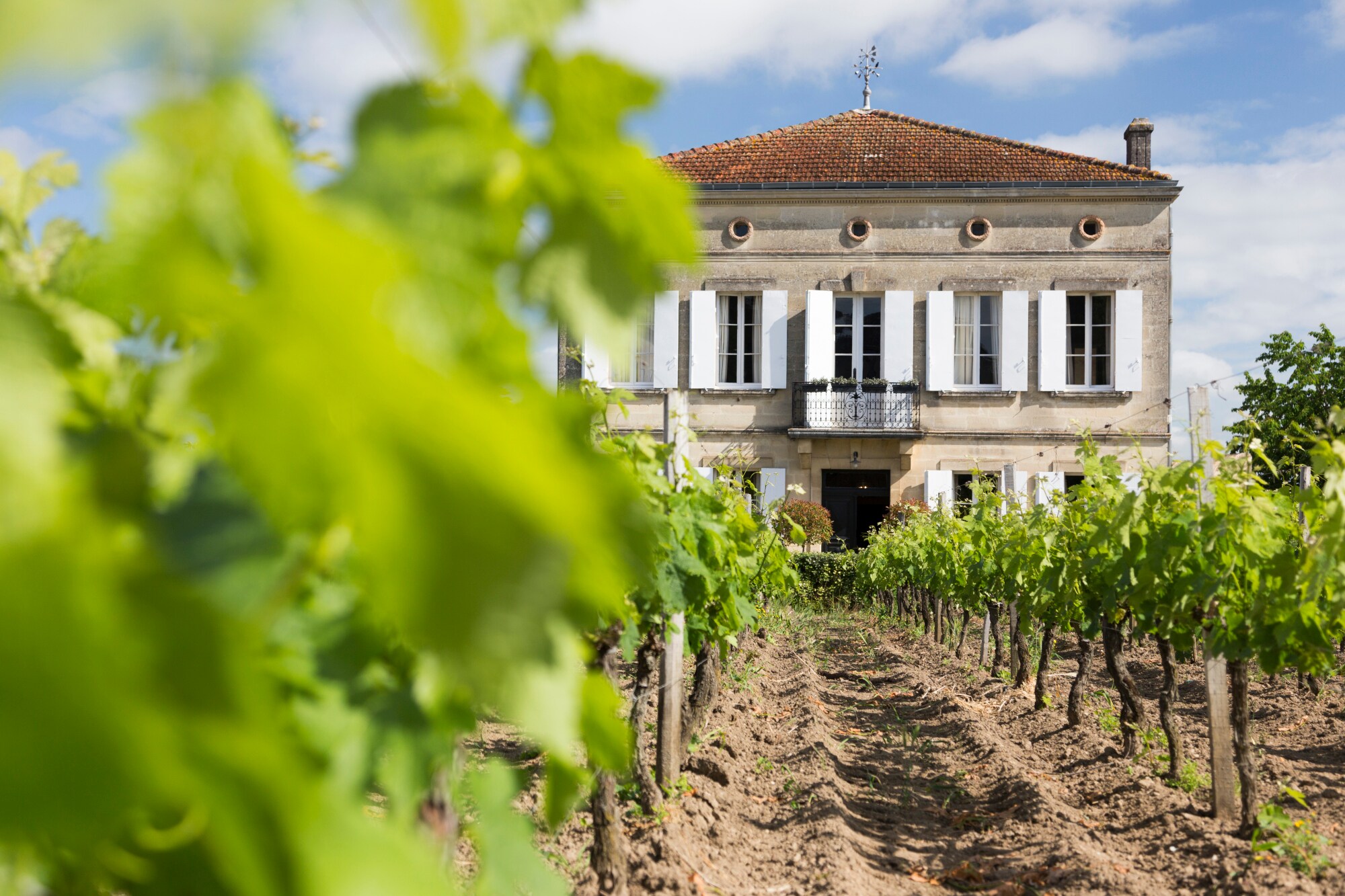 Historischer Gutshof mit Weinberg im Vordergrund