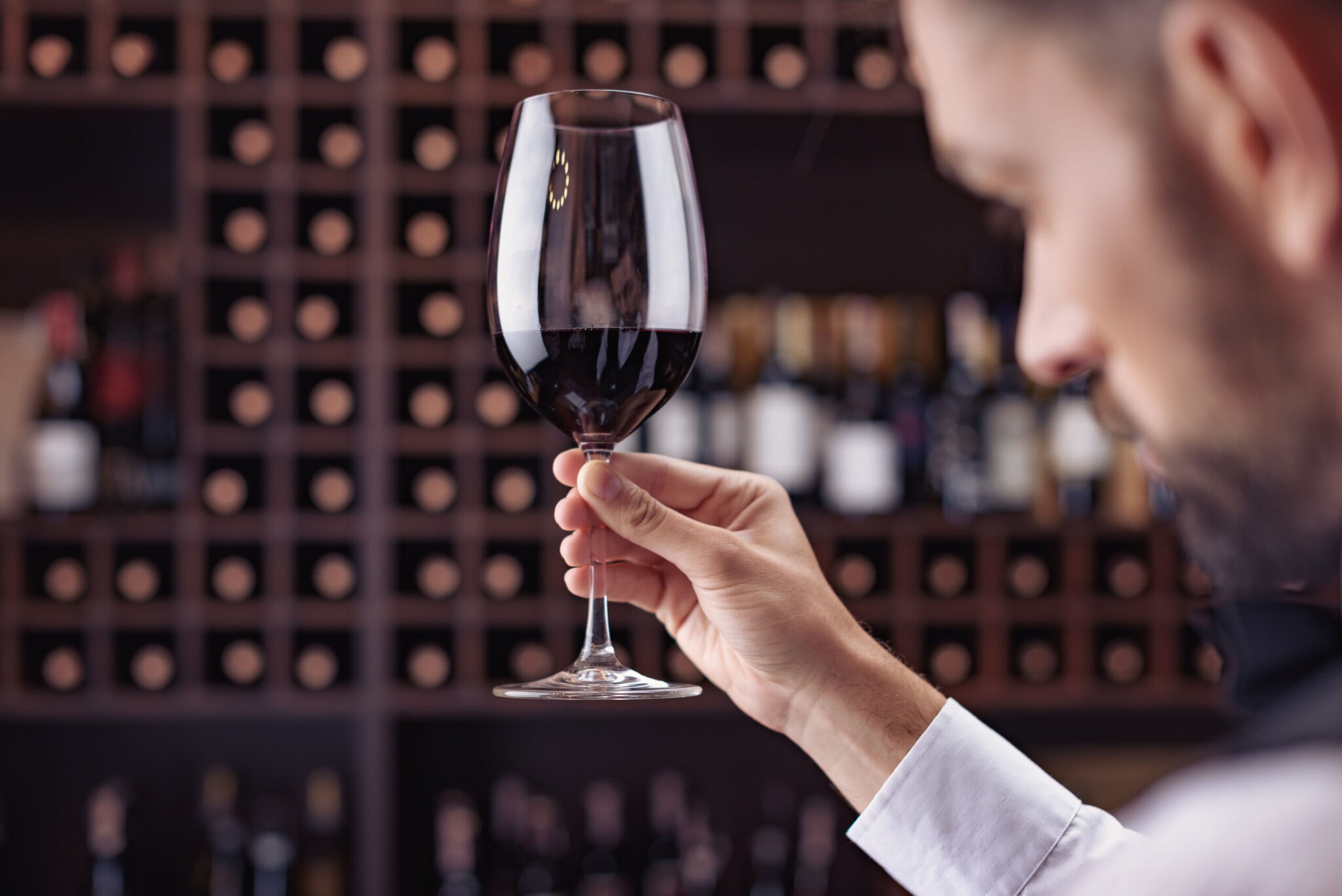 Profilaufnahme eines Sommeliers, der ein Glas Rotwein im Weinkeller begutachtet