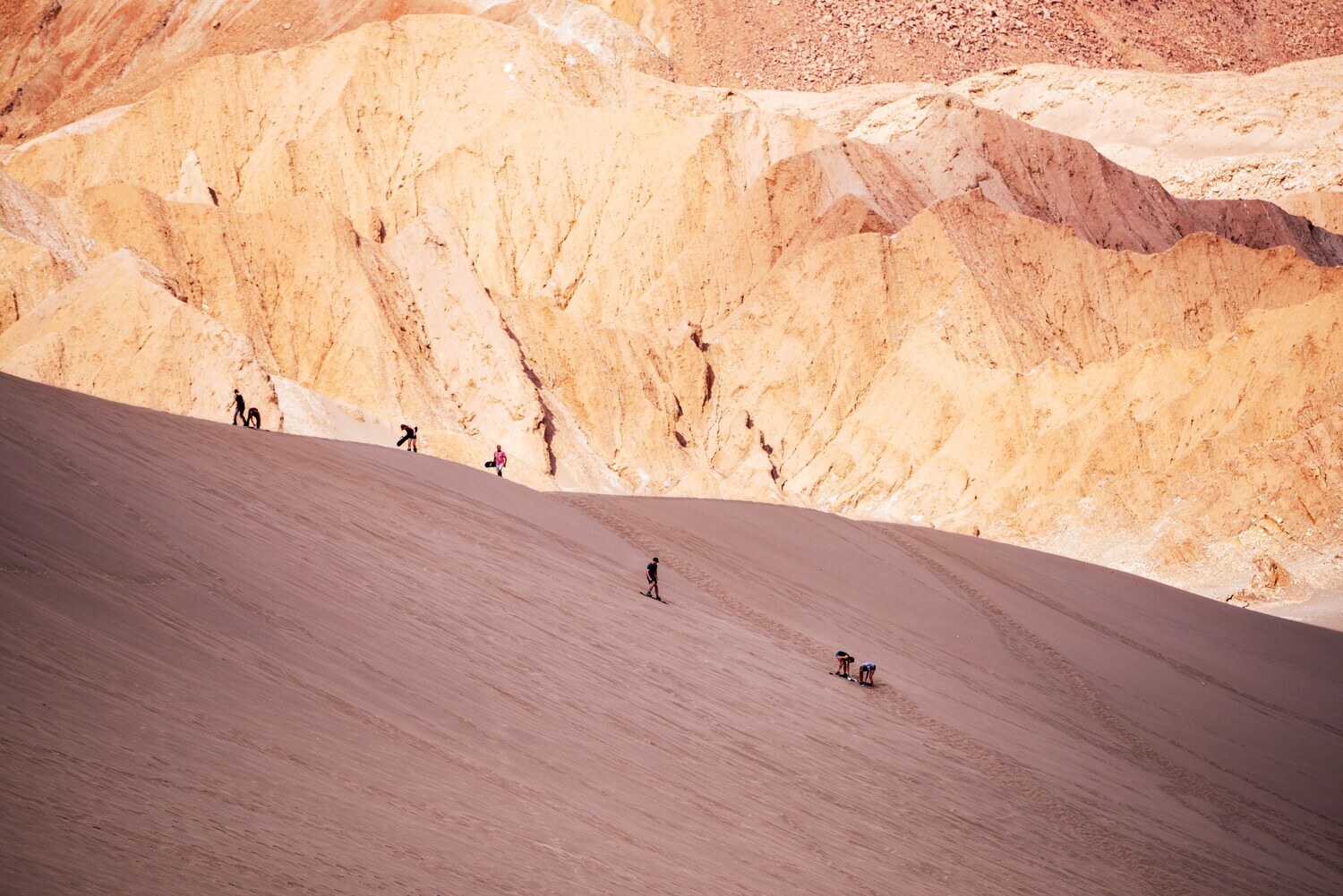 Personen auf Sandboards fahren eine Düne vor einer Felswand in einer Wüstenlandschaft hinunter