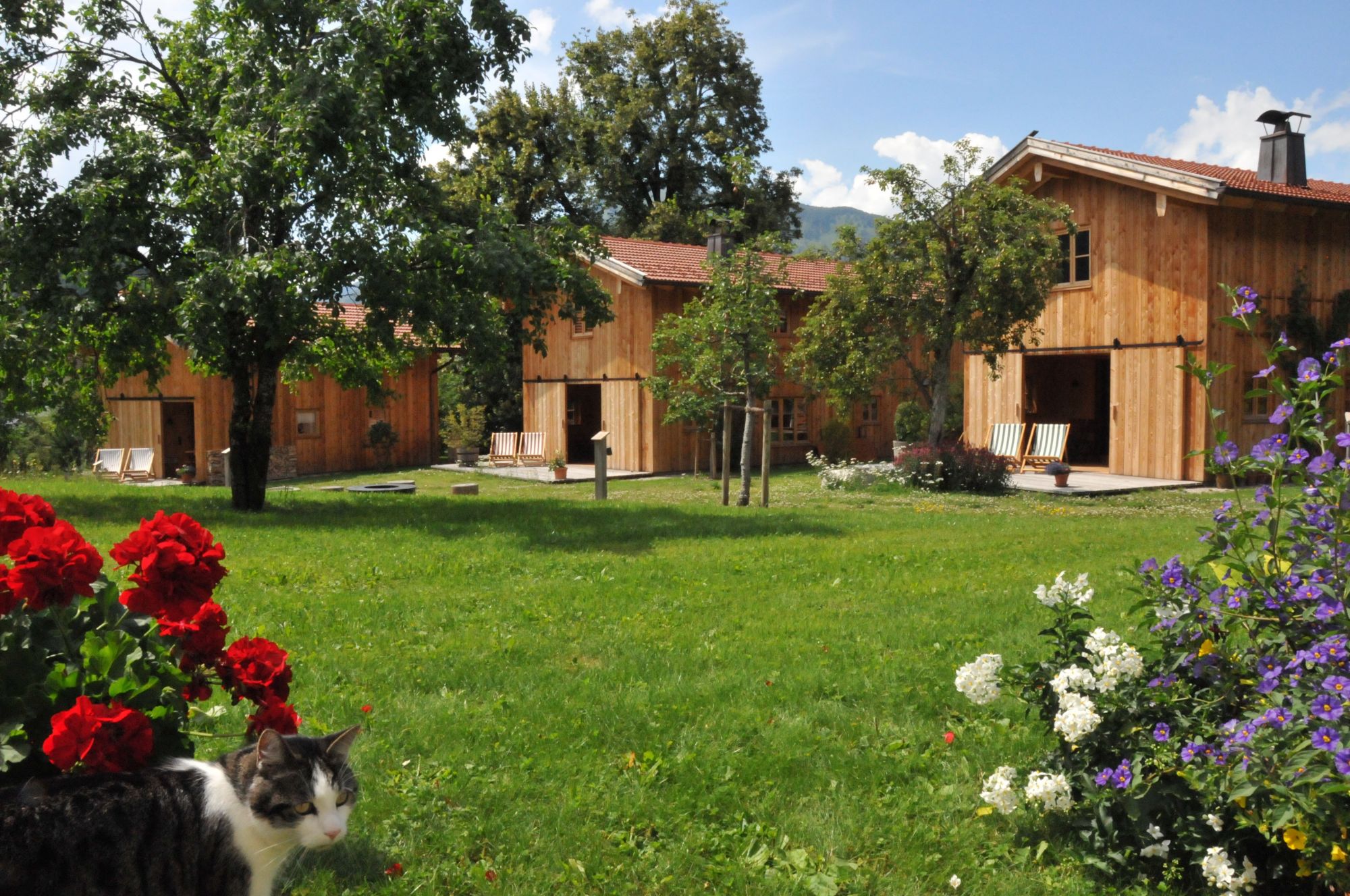 Holzhäuser stehen auf einer Wiese.