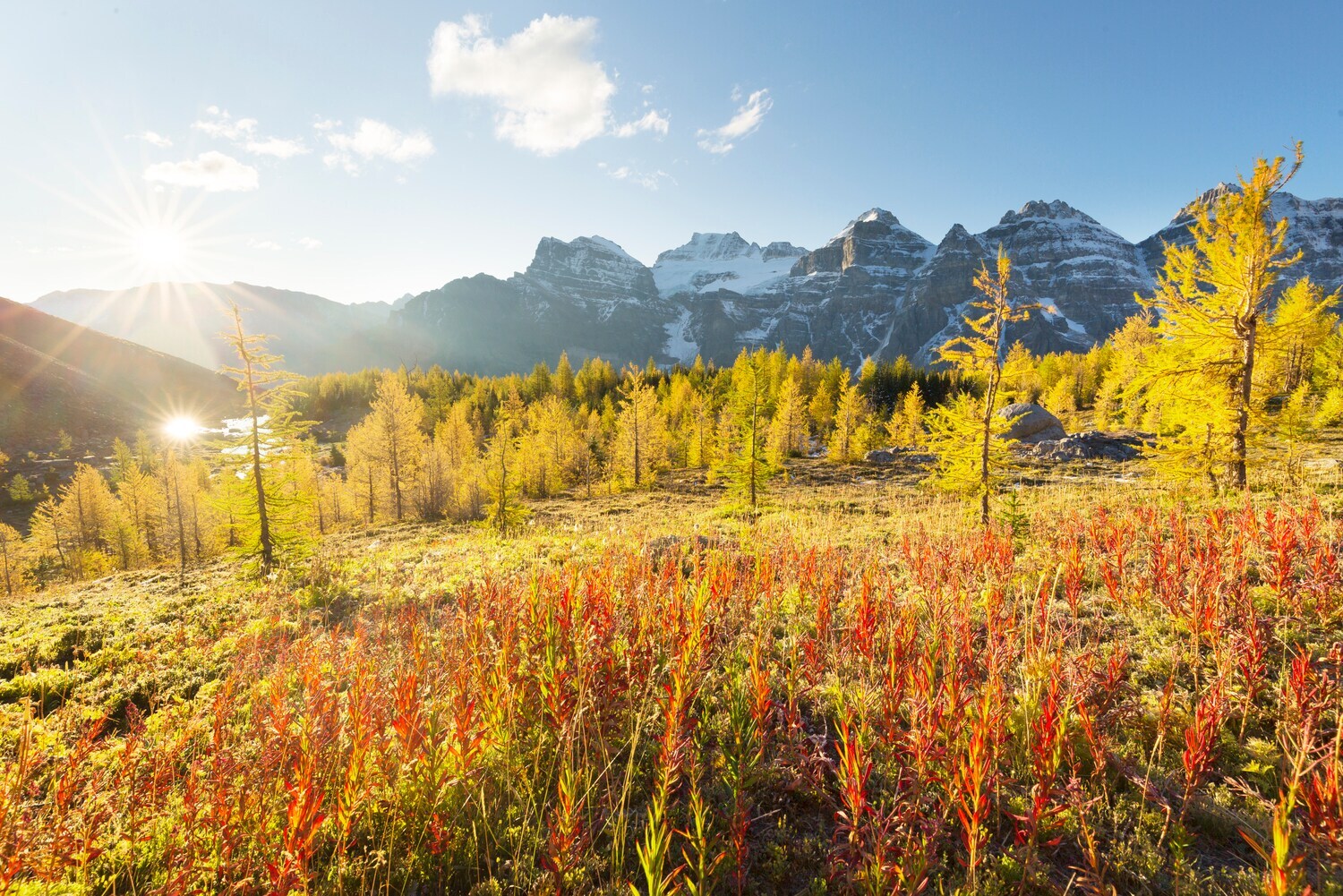 Herbstliche Landschaft mit Bäumen und Bergen im Hintergrund