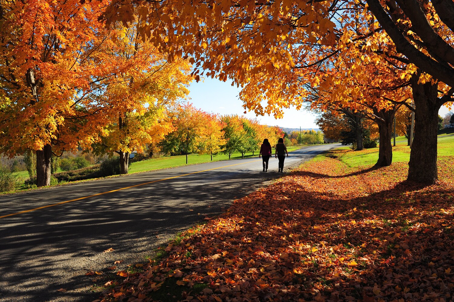 Zwei Spaziergänger im Herbst Zwei Spaziergänger im Herbst