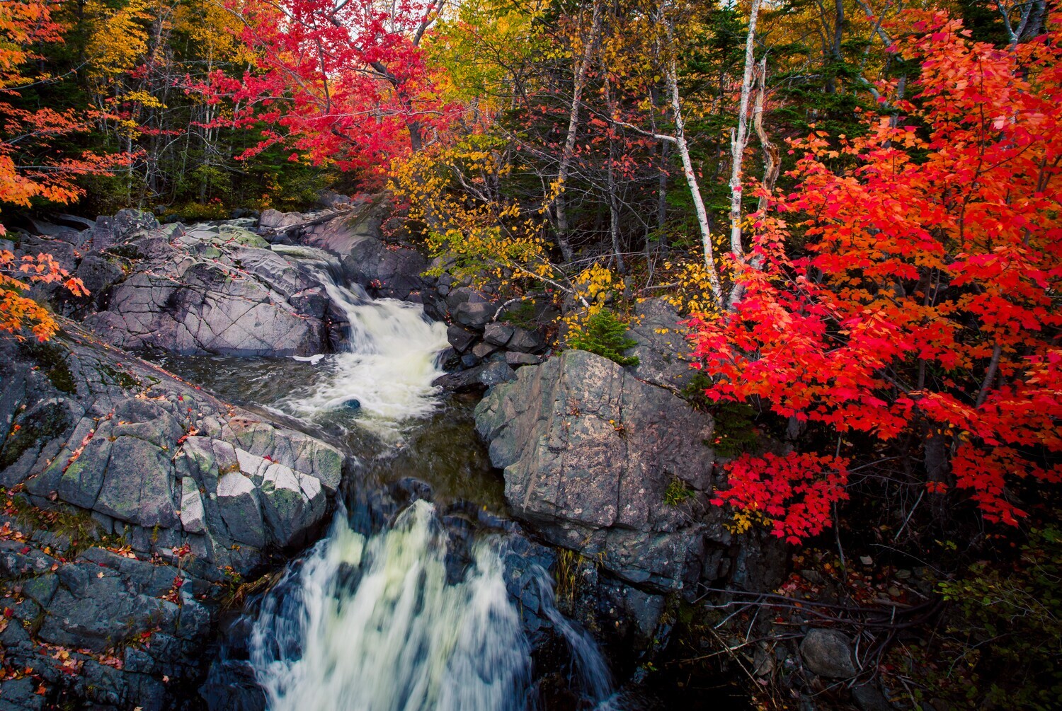 Ein Wasserfall im Herbst