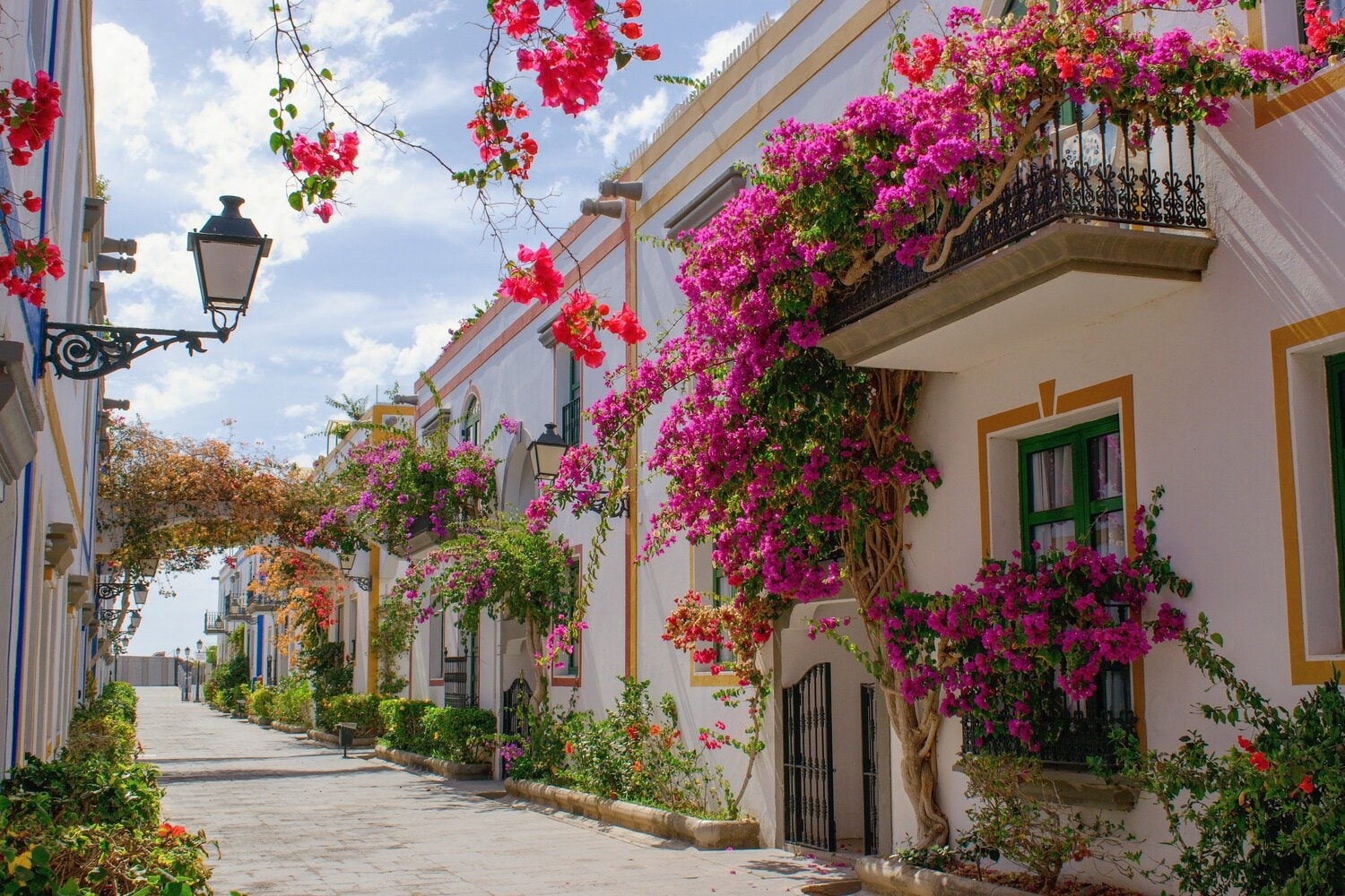 Eine Gasse mit weißen Häusern im kanarischen Stil und üppigen Blumenranken Eine Gasse mit weißen Häusern im kanarischen Stil und üppigen Blumenranken