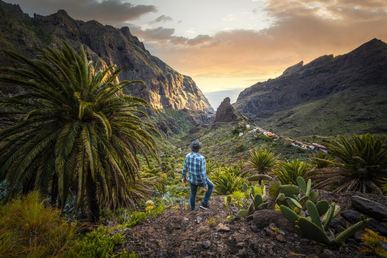 Rückansicht eines Mannes in einem Gebirge, inmitten tropischer Vegetation Rückansicht eines Mannes in einem Gebirge, inmitten tropischer Vegetation