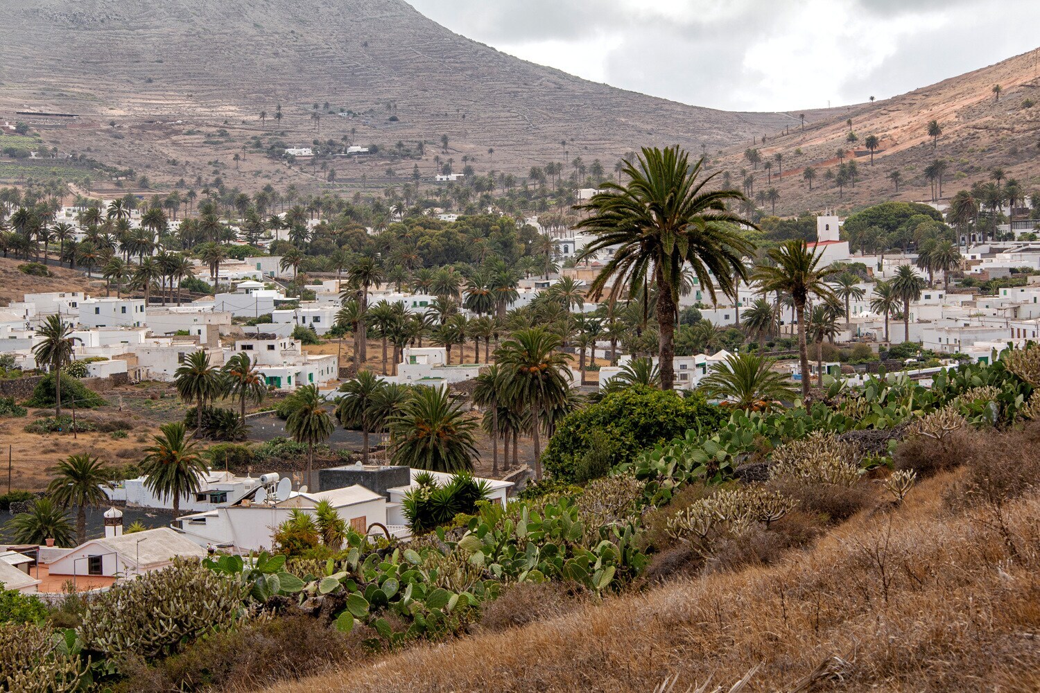 Ein Tal mit weißen, flachen Häusern und Palmen