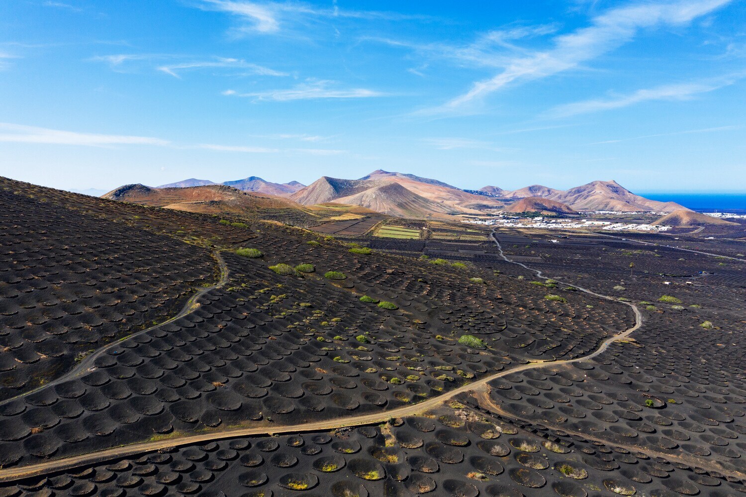 Panorama eines felsigen Weinanbaugebietes mit Rebstöcken in runden Vertiefungen im schwarzen Erdboden